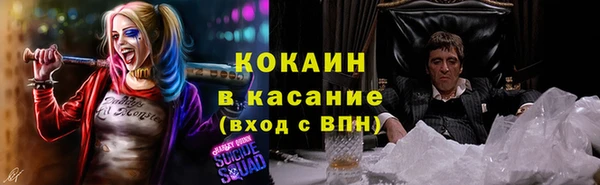 трава Ельня