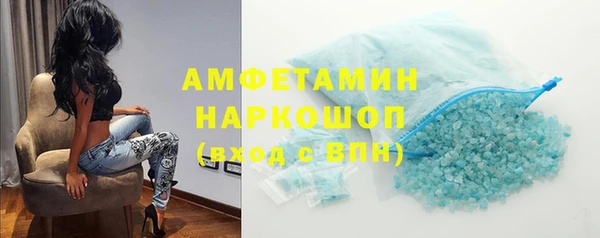 трава Ельня