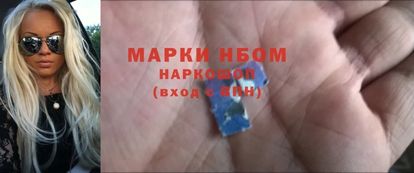 трава Ельня