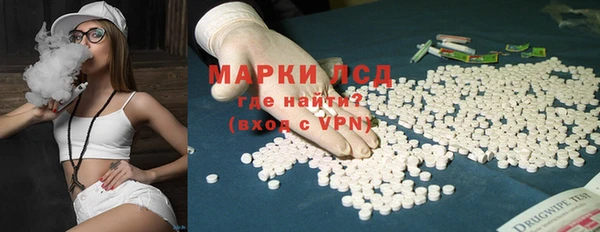 мяу мяу мука Елабуга
