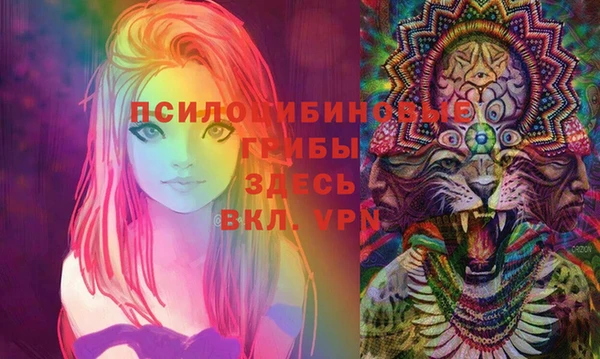 мяу мяу мука Елабуга