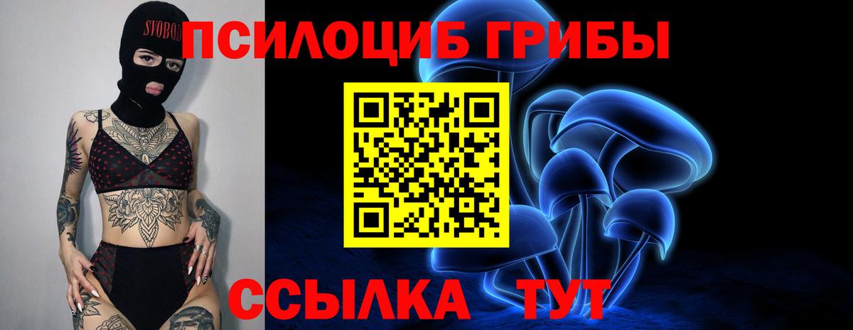 Галлюциногенные грибы Psilocybe  Псилоцибиновые грибы мицелий  Реж  Вход с VPN 